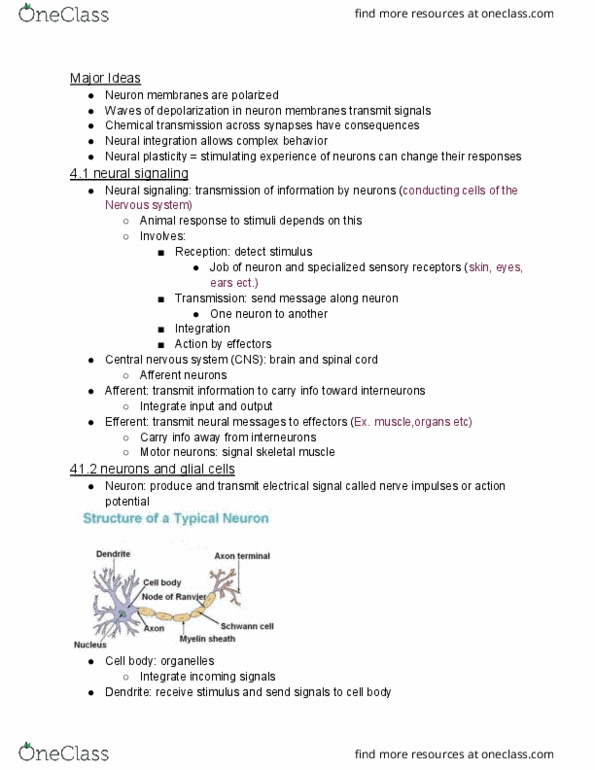 BIOL-1110 Chapter Notes - Chapter p.854-73: Central Nervous System, Neuroplasticity, Neuroglia thumbnail