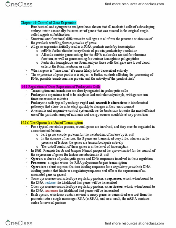 Biology 1002B Chapter Notes - Chapter 14: Regulatory Sequence, Operon, Cytogenetics thumbnail
