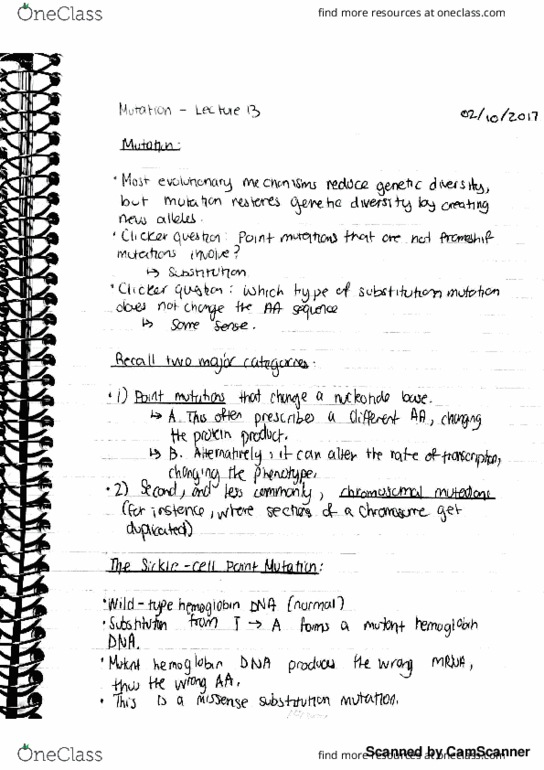 BIOL 1001 Lecture Notes - Lecture 13: Zygote, Ney thumbnail
