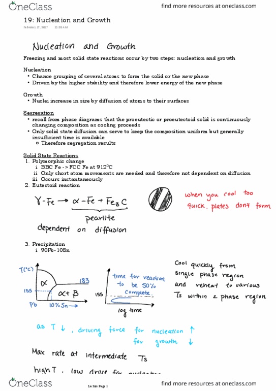 MAT E202 Lecture Notes - Lecture 19: Eutectic System, Phase Diagram, Martensite thumbnail