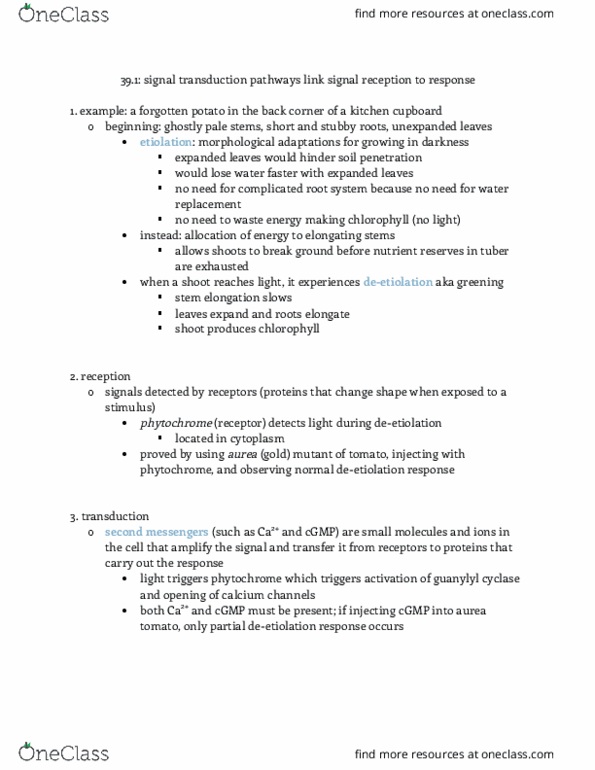 BIO 311D Chapter Notes - Chapter 39.1: Guanylyl Cyclase, Etiolation, Signal Transduction thumbnail