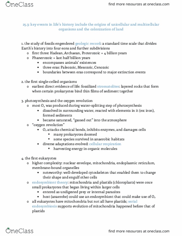 BIO 311D Chapter Notes - Chapter 25.3: Symbiogenesis, Endoplasmic Reticulum, Nuclear Membrane thumbnail