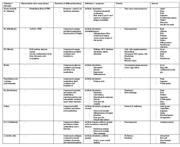 BPK 110 Chapter Notes -Macrocytic Anemia, Neural Tube Defect, Yolk thumbnail