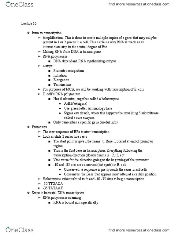 MCB 150 Lecture Notes - Lecture 16: Enzyme, Central Dogma Of Molecular Biology, The Sequence thumbnail