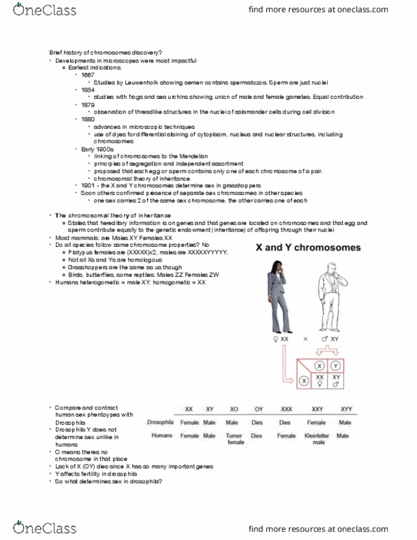 BIOL239 Chapter Notes - Chapter 4: Chromosome, Gamete, Down Syndrome thumbnail