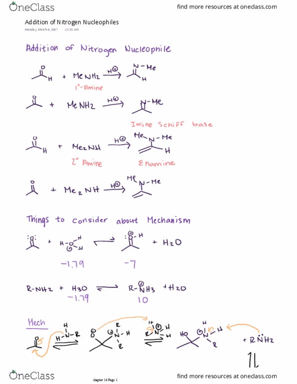 CHEM 3153 Lecture Notes - Lecture 14: Hydrazone, Cyanohydrin, Hydrolysis thumbnail