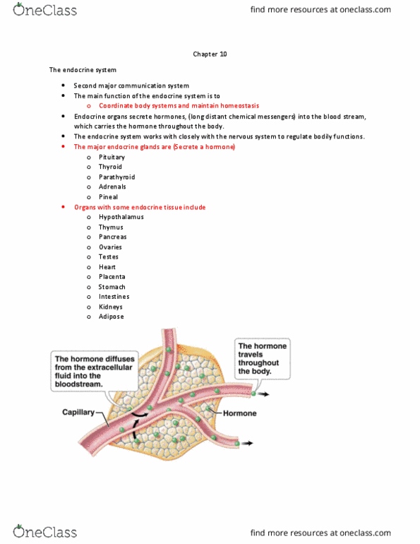BIOLOGY 101 Lecture Notes - Lecture 12: Adrenal Gland, Thyroid, Lipid Bilayer thumbnail