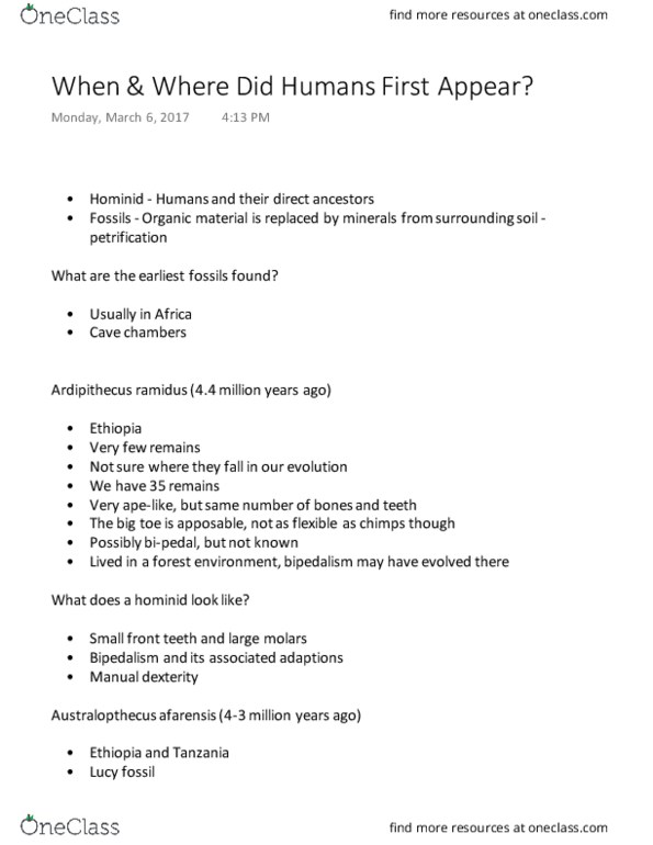 ANTHROP 1AA3 Lecture Notes - Lecture 16: Foramen Magnum, Homo Habilis, Stone Tool thumbnail