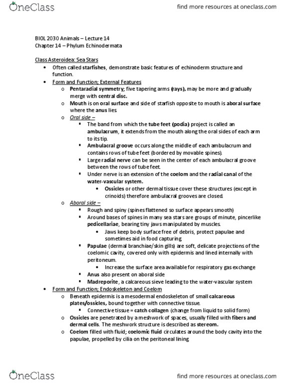 BIOL 2030 Chapter Notes - Chapter 14: Tube Feet, Radial Nerve, Endoskeleton thumbnail