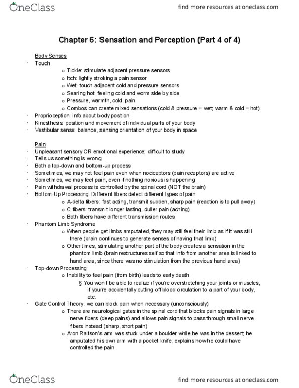 PSY 1101 Lecture Notes - Lecture 8: Phantom Limb, Group C Nerve Fiber, Nociceptor thumbnail