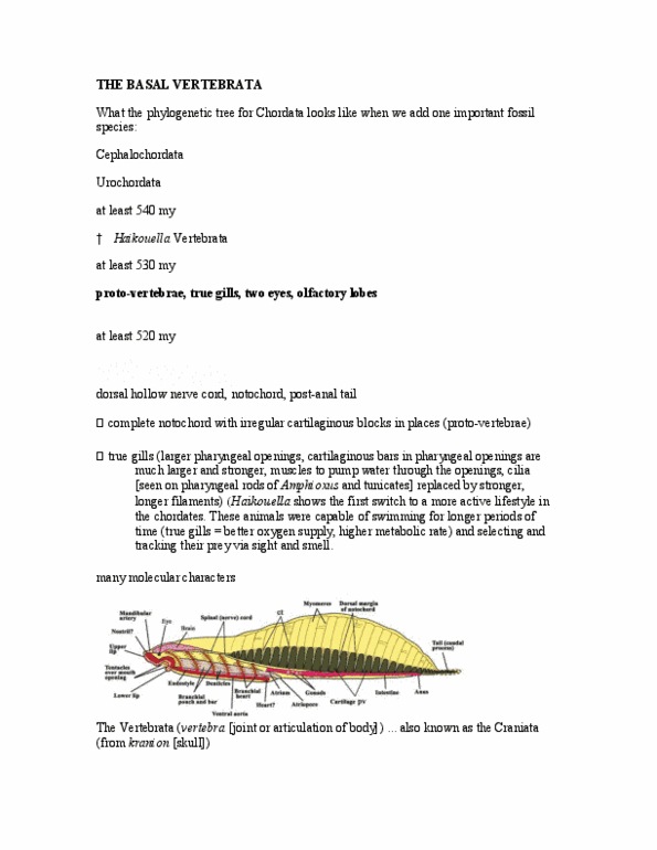 EEB267H1 Lecture Notes - Cyclostomata, Hagfish, Haikouella thumbnail