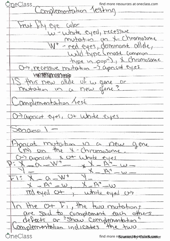 BIO 240 Lecture Notes - Lecture 4: Chromosome, Wild Type, Diplo thumbnail