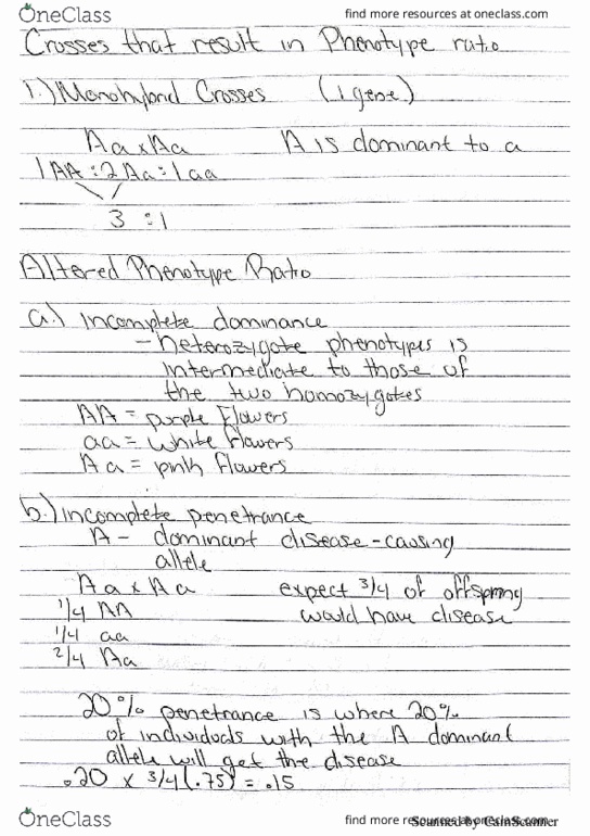 BIO 240 Lecture Notes - Lecture 2: Chromosome, Jato, Barr Body thumbnail