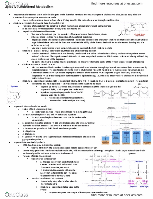 CHEM 153C Lecture Notes - Lecture 20: Farnesyl Pyrophosphate, Isopentenyl Pyrophosphate, Geranylgeranyl Pyrophosphate thumbnail