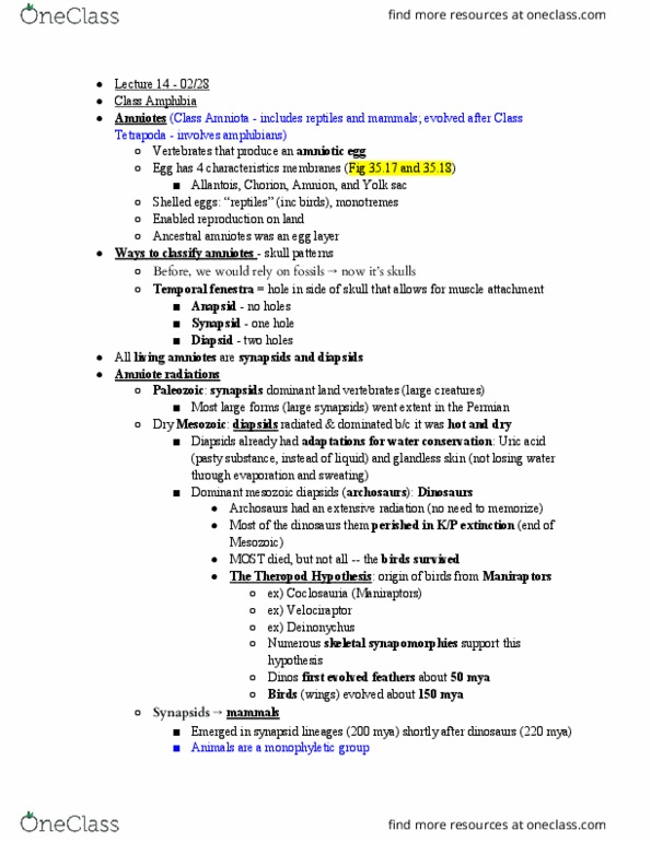 BIO SCI 94 Lecture Notes - Lecture 14: Deinonychus, Velociraptor, Mesozoic thumbnail