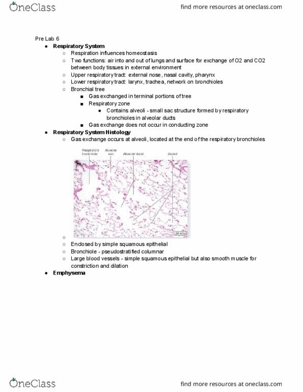 PNB 2265 Chapter Notes - Chapter 6: Functional Residual Capacity, Caseous Necrosis, Epithelioid Cell thumbnail