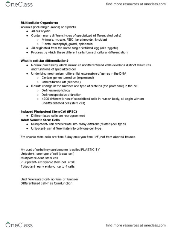 BIOL 190 Lecture Notes - Lecture 8: Induced Pluripotent Stem Cell, Cellular Differentiation, Unipotent thumbnail