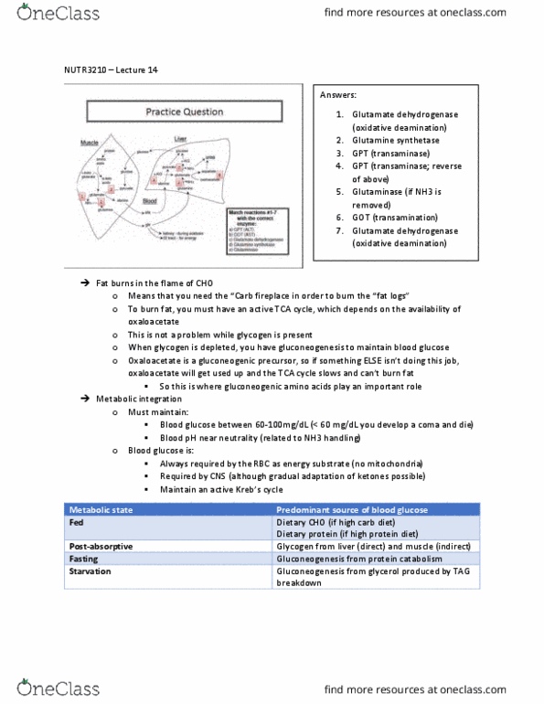 NUTR 3210 Lecture 14: NUTR3210 - Lect 14 thumbnail