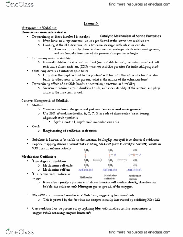 BCH210H1 Lecture 23: L23 thumbnail