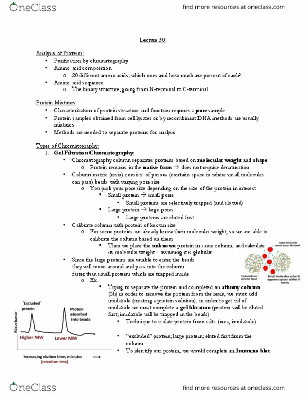 BCH210H1 Lecture 30: L30 thumbnail