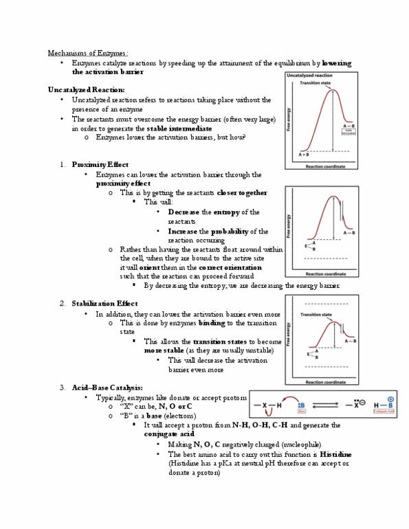 BCH210H1 Chapter 10: R10 thumbnail