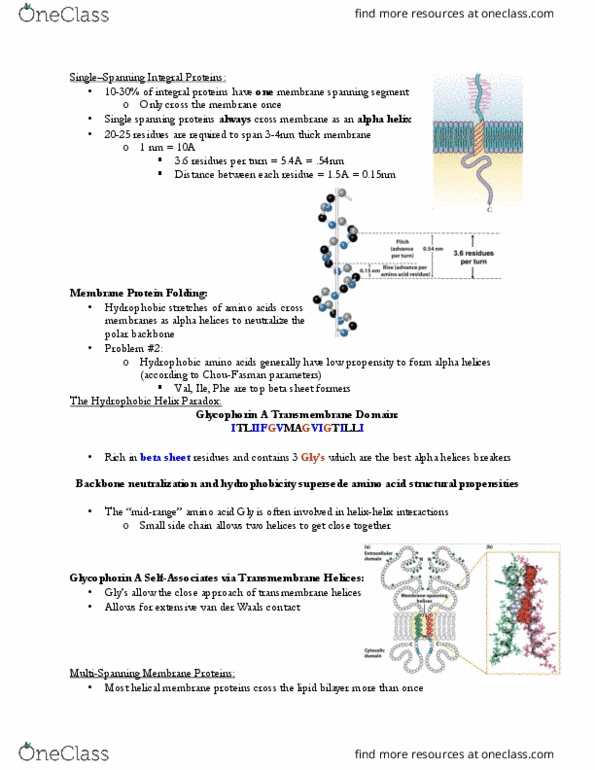 BCH210H1 Chapter Notes - Chapter 30: Beta Sheet, Cell Membrane thumbnail
