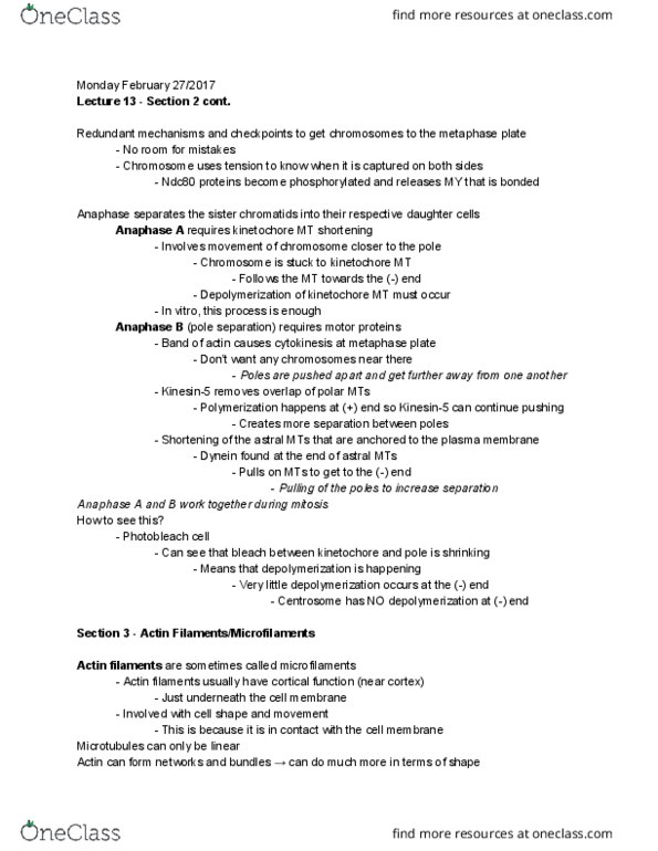 Biology 2382B Lecture 13: CELLBIOLECTURE13SECTION2-3 thumbnail