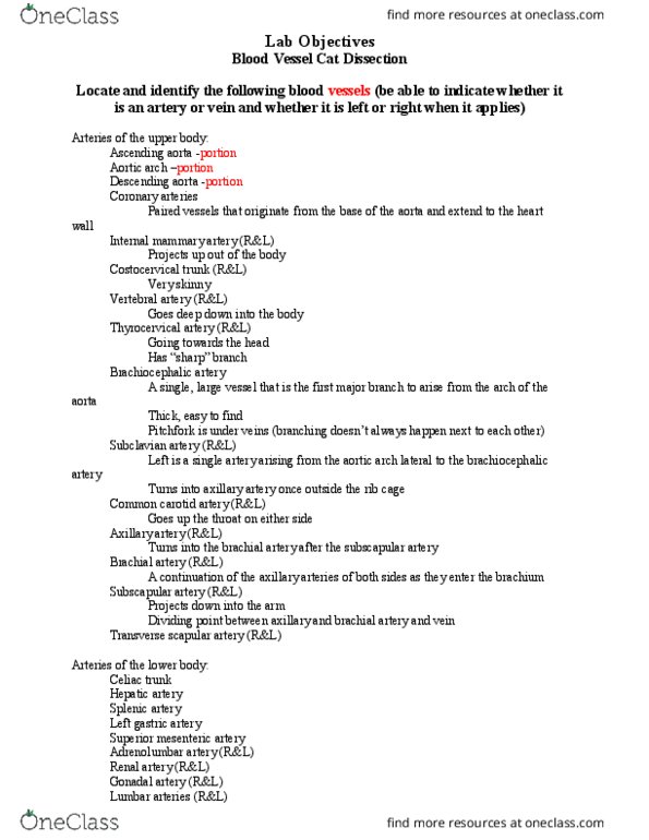 BIOL 2231 Lecture 6: Lab 6 Objectives (Blood Vessels) thumbnail