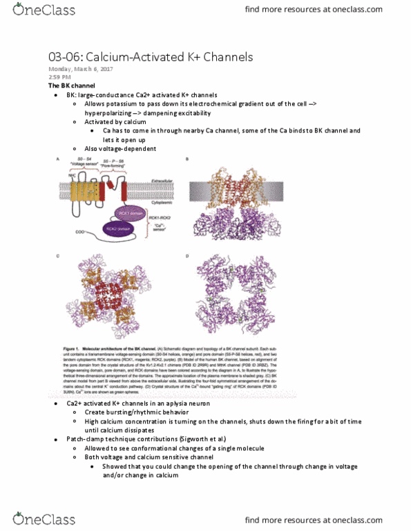 document preview image