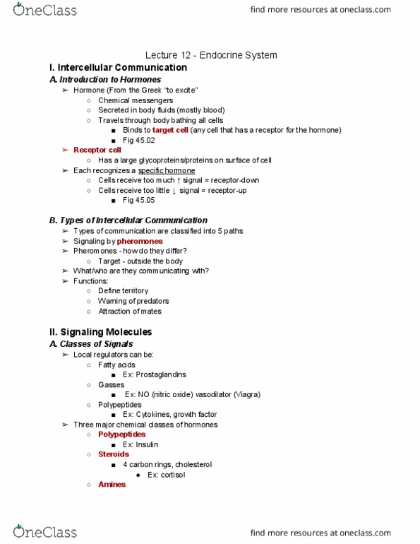 01:119:116 Lecture 12: Lecture 12 - Endocrine System thumbnail