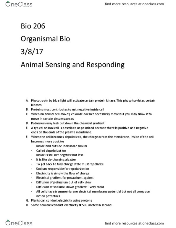 BIOL 206 Lecture 27: Animal Sensing and Responding thumbnail
