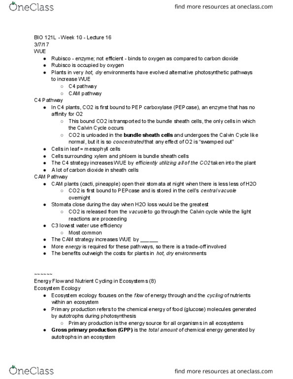BIO 121 Lecture 16: BIO 121L - Week 10 - Lecture 16 thumbnail