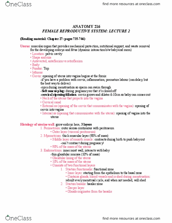 ANAT 216 Lecture 27: ANAT216 W9L3 Lecture 27 Female Reproductive System 2 thumbnail