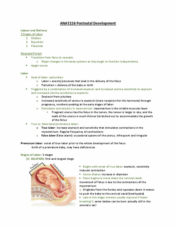 ANAT 216 Lecture 29: ANAT216 W11L2 Postnatal Development thumbnail