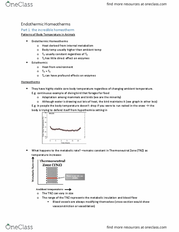 Biology 2601A/B Lecture 6: bio 2601 LECTURE 6 endothermic homeotherms thumbnail