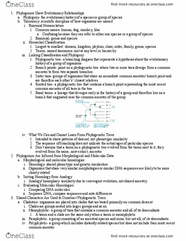 BIL 160 Chapter 26: Ch. 26, Phylogeny and the Tree of Life thumbnail
