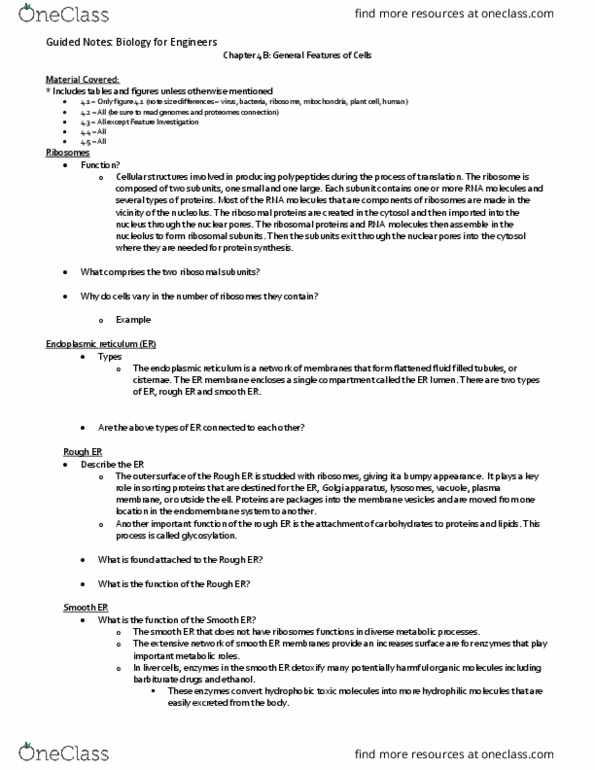 BIOL 1115 Lecture 4: Chapter 4B thumbnail