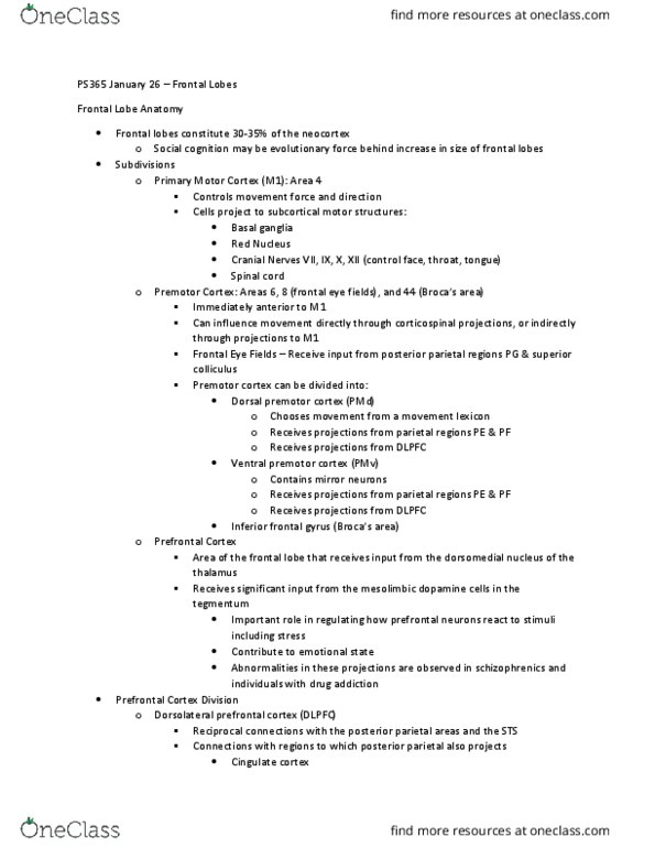 PS365 Lecture 7: The Frontal Lobes thumbnail
