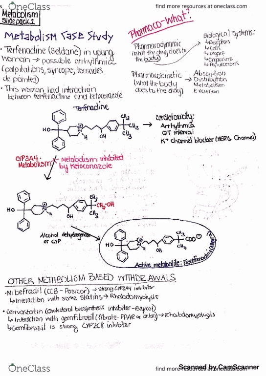 BPS 325 Lecture 1: Metabolism Powerpoint 1 thumbnail