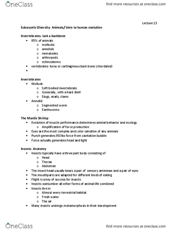 BIOL 102 Lecture Notes - Lecture 13: Mantis Shrimp, Annelid, Mollusca thumbnail