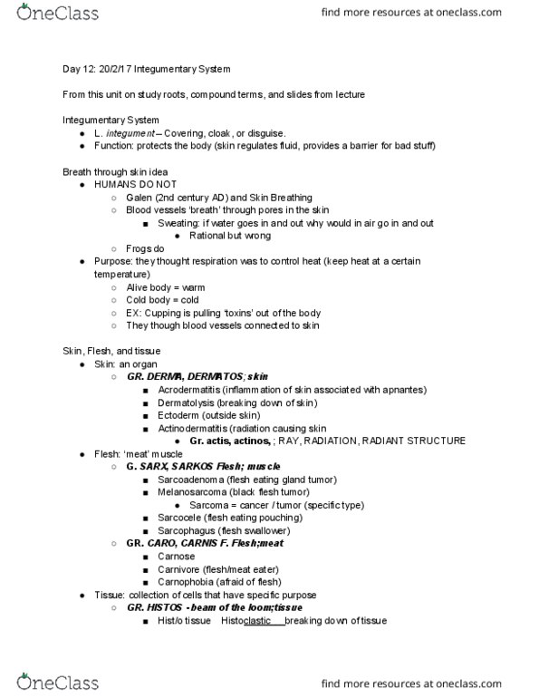 C C 306M Lecture Notes - Lecture 12: Blood Vessel, Sarcoma, Ectoderm thumbnail