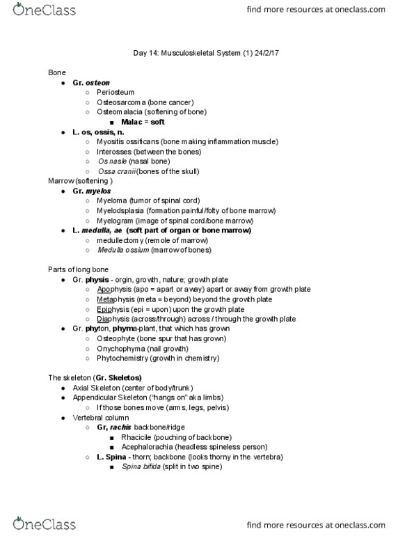 C C 306M Lecture Notes - Lecture 14: Myositis Ossificans, Spina Bifida, Nasal Bone thumbnail