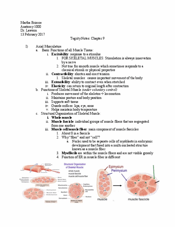 ANAT 1000 Lecture 7: Skeletal Muscle Notes 2:13 thumbnail