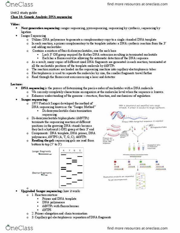 MCDB 2150 Lecture 14: Class 14- Genetic Analysis- DNA sequencing thumbnail