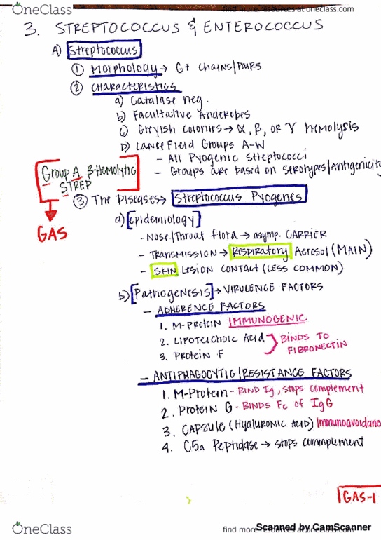 BMD 402 Lecture 6: Streptococcus Part 1 thumbnail