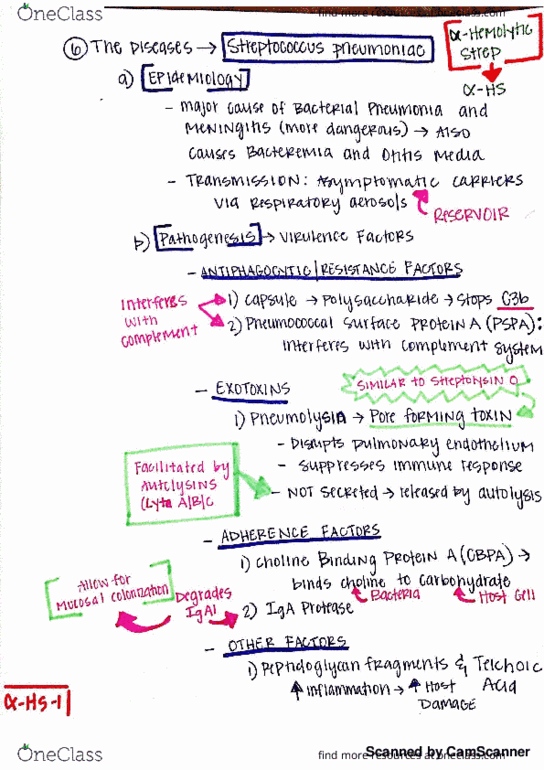 BMD 402 Lecture 7: Streptococcus Part 2 and Enterococcus thumbnail