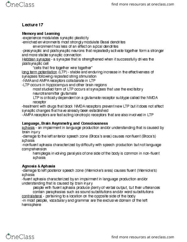 PSYCH 212 Lecture 17: Lecture 17 Notes thumbnail