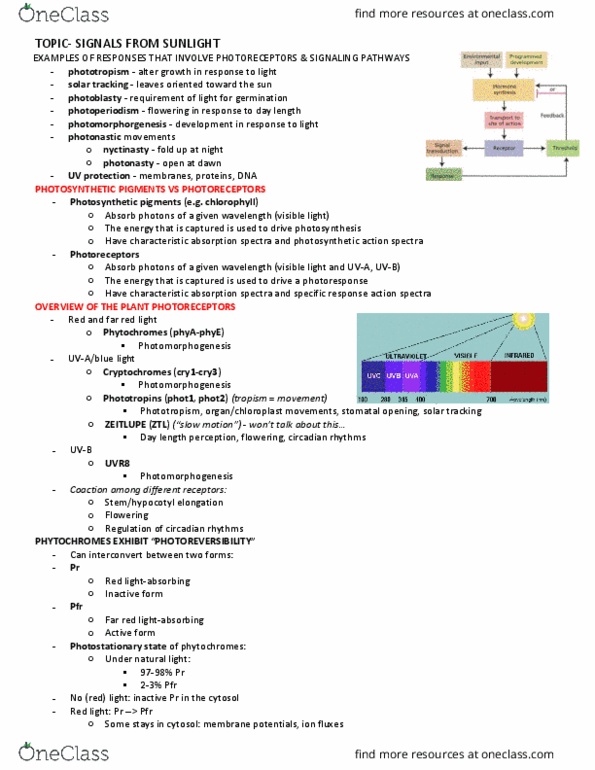 BIOL 341 Lecture 17: Signals from Sunlight thumbnail