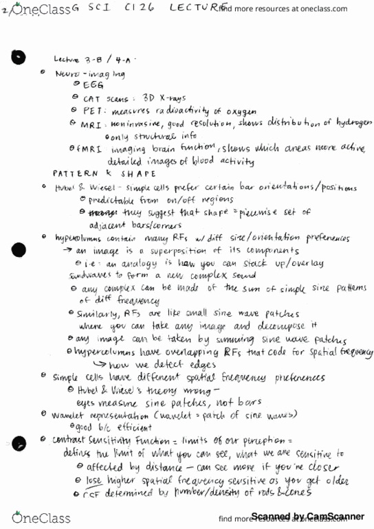 MCELLBI C61 Lecture 3: Cog Sci C126 Lecture 3 2-13-17 thumbnail