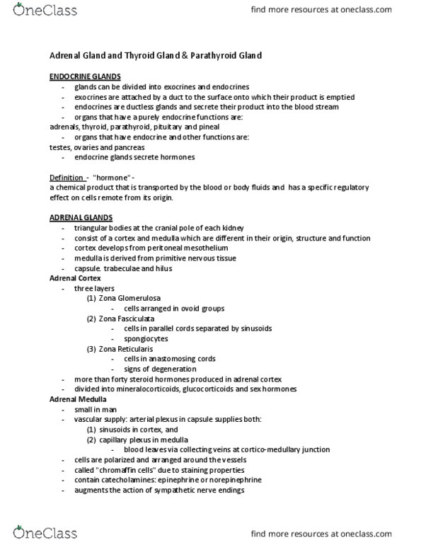 Anatomy and Cell Biology 3309 Lecture Notes - Lecture 22: Cell Membrane, Triiodothyronine, Osteoclast thumbnail